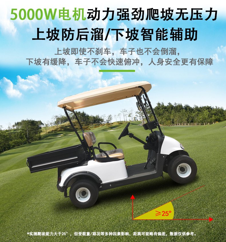 G2-1电动高尔夫观光车看房四轮巡逻车电瓶货运载(图3)
