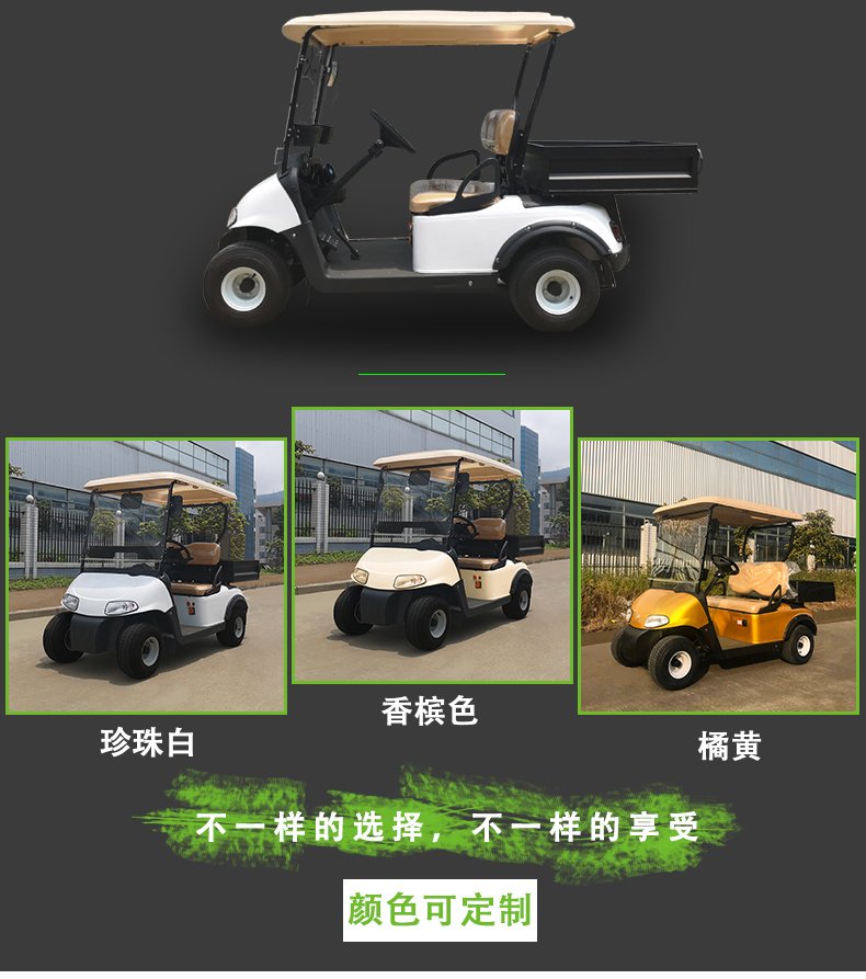 G2-1电动高尔夫观光车看房四轮巡逻车电瓶货运载(图5)