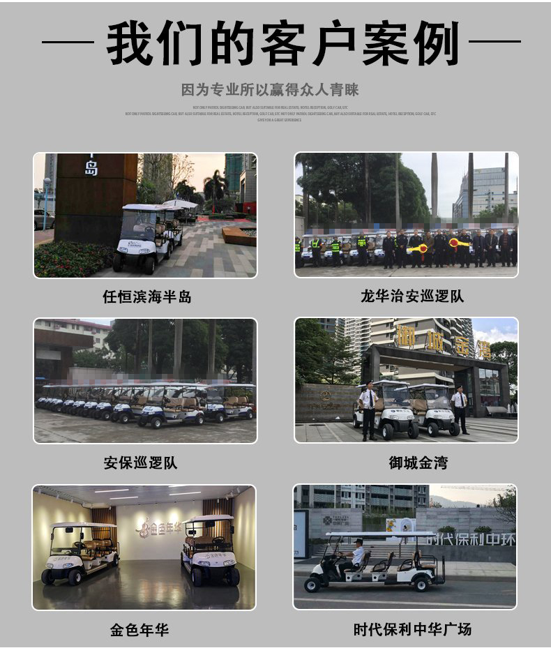 G2-1电动高尔夫观光车看房四轮巡逻车电瓶货运载(图6)